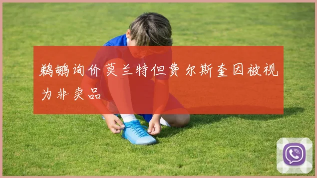 鹈鹕询价莫兰特但费尔斯奎因被视为非卖品