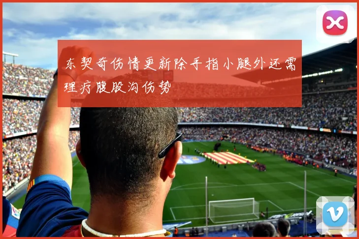 东契奇伤情更新除手指小腿外还需理疗腹股沟伤势